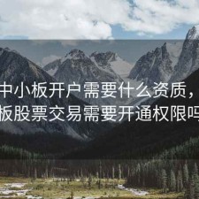股票中小板开户需要什么资质，中小板股票交易需要开通权限吗