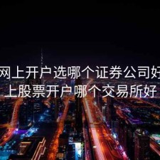 股票网上开户选哪个证券公司好，网上股票开户哪个交易所好