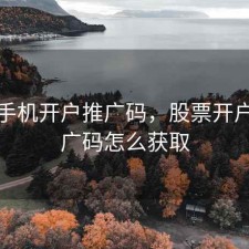 股票手机开户推广码，股票开户的推广码怎么获取
