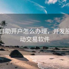 股票自助开户怎么办理，开发股票自动交易软件