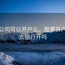 股票公司可以开户么，股票开户可以去银行开吗