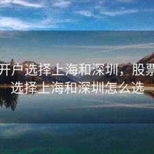 股票开户选择上海和深圳，股票开户选择上海和深圳怎么选