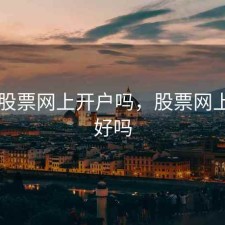 国内股票网上开户吗，股票网上开户好吗