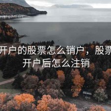 网上开户的股票怎么销户，股票网上开户后怎么注销
