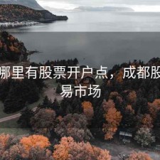 成都哪里有股票开户点，成都股票交易市场
