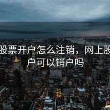 网上股票开户怎么注销，网上股票开户可以销户吗