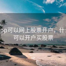 什么app可以网上股票开户，什么app可以开户买股票