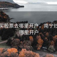 南宁买股票去哪里开户，南宁炒股到哪里开户