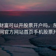东方财富可以开股票开户吗，东方财富网官方网站首页手机股票开户