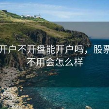 股票开户不开盘能开户吗，股票开户不用会怎么样