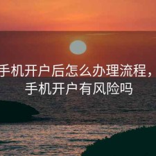 股票手机开户后怎么办理流程，股票手机开户有风险吗