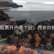 咸阳 股票开户哪个好，西安炒股开户