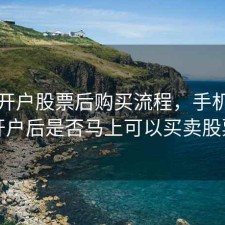 手机开户股票后购买流程，手机股票开户后是否马上可以买卖股票