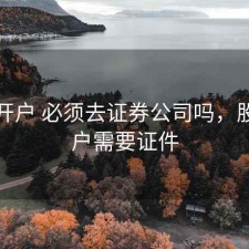股票开户 必须去证券公司吗，股票开户需要证件