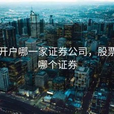 股票开户哪一家证券公司，股票开户哪个证券