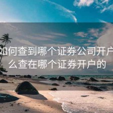 股票如何查到哪个证券公司开户，怎么查在哪个证券开户的