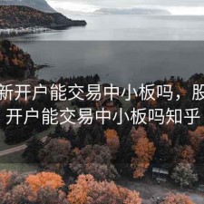 股票新开户能交易中小板吗，股票新开户能交易中小板吗知乎