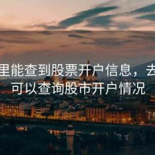 在哪里能查到股票开户信息，去哪里可以查询股市开户情况