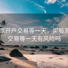 买股票开户交易等一天，买股票开户交易等一天有风险吗