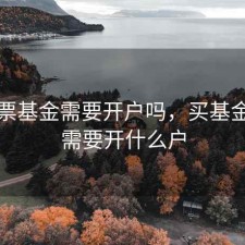 买股票基金需要开户吗，买基金股票需要开什么户