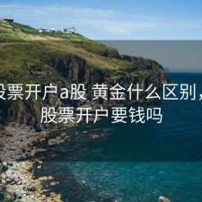手机股票开户a股 黄金什么区别，手机股票开户要钱吗