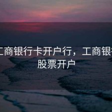股票工商银行卡开户行，工商银行app股票开户