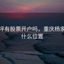 杨家坪有股票开户吗，重庆杨家坪在什么位置