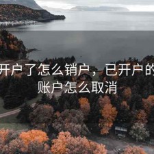 股票开户了怎么销户，已开户的股票账户怎么取消