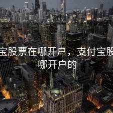 支付宝股票在哪开户，支付宝股票在哪开户的