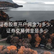 华林证券股票开户佣金为多少，华林证券交易佣金是多少