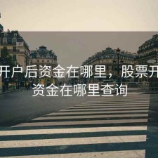 股票开户后资金在哪里，股票开户后资金在哪里查询