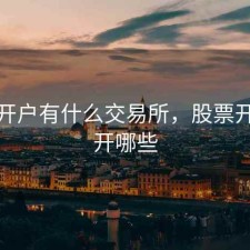 股票开户有什么交易所，股票开户都开哪些