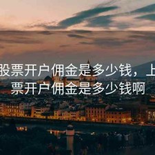 上海股票开户佣金是多少钱，上海股票开户佣金是多少钱啊