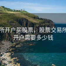 交易所开户买股票，股票交易所交易开户需要多少钱