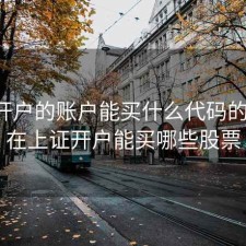 上证开户的账户能买什么代码的股票，在上证开户能买哪些股票