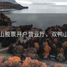 双鸭山股票开户营业厅，双鸭山支行
