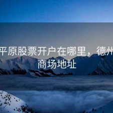 德州平原股票开户在哪里，德州平原商场地址