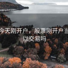 股票今天刚开户，股票刚开户当天可以交易吗