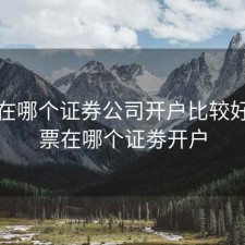 股票在哪个证券公司开户比较好，股票在哪个证劵开户