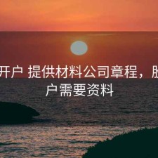 股票 开户 提供材料公司章程，股票开户需要资料