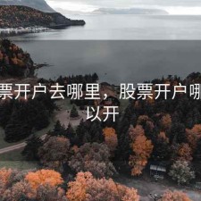 想股票开户去哪里，股票开户哪里可以开