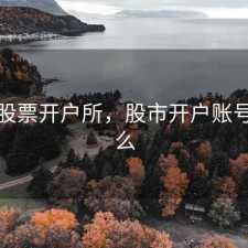 最近股票开户所，股市开户账号是什么