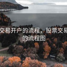 股票交易开户的流程，股票交易开户的流程图