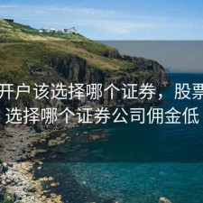 股票开户该选择哪个证券，股票开户选择哪个证券公司佣金低