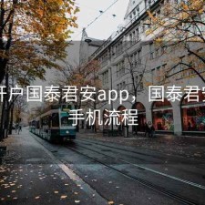 股票开户国泰君安app，国泰君安开户手机流程