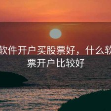 哪个软件开户买股票好，什么软件股票开户比较好