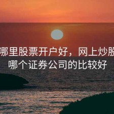 网上哪里股票开户好，网上炒股开户哪个证券公司的比较好