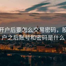 股票开户后要怎么交易密码，股票开户之后账号和密码是什么