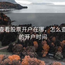 怎么查看股票开户在哪，怎么查股票的开户时间