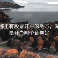 深圳哪里有股票开户的地方，深圳股票开户哪个证券好